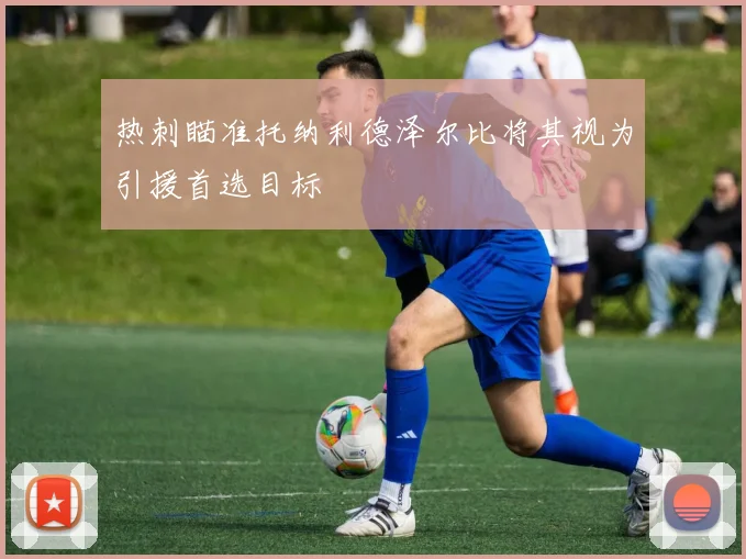热刺瞄准托纳利德泽尔比将其视为引援首选目标
