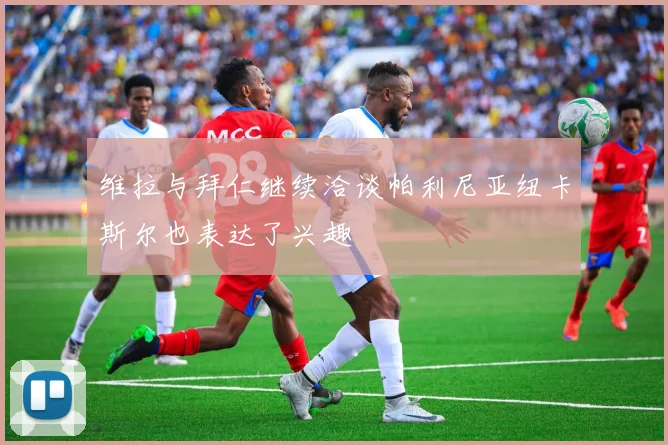 维拉与拜仁继续洽谈帕利尼亚纽卡斯尔也表达了兴趣